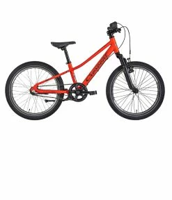 Barncykel 20″ Crescent Narre 3-växlad 2023 års